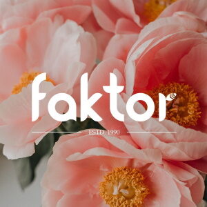 Faktor Limited Logo