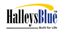 Halleys Blue Logo