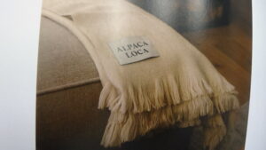 Alpacaloca Logo