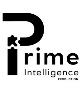 Prime Intelligence Production Ltd Logo