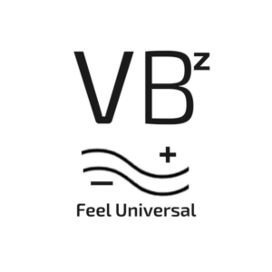 VBZ LTD Logo